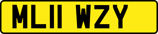 ML11WZY