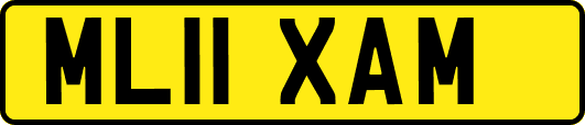 ML11XAM