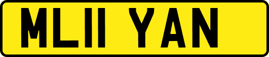 ML11YAN