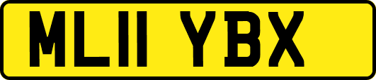 ML11YBX