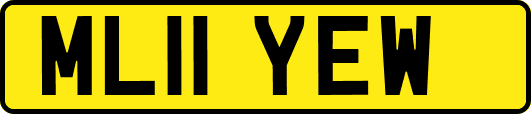 ML11YEW