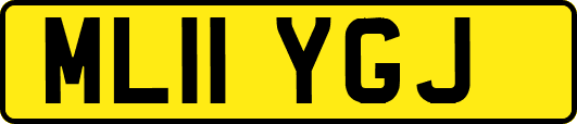 ML11YGJ