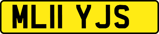 ML11YJS