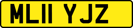 ML11YJZ