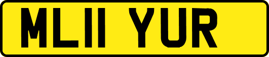 ML11YUR