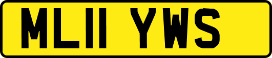 ML11YWS