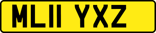 ML11YXZ