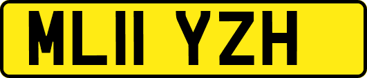 ML11YZH