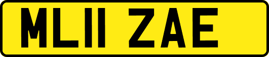 ML11ZAE