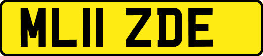 ML11ZDE