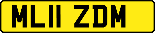 ML11ZDM