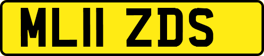 ML11ZDS