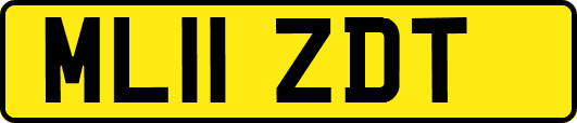ML11ZDT