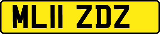 ML11ZDZ
