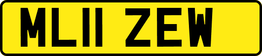ML11ZEW