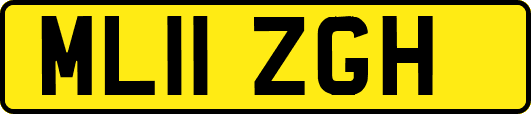 ML11ZGH
