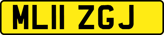 ML11ZGJ