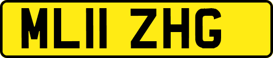 ML11ZHG