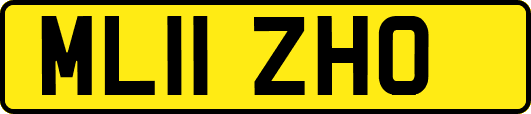 ML11ZHO