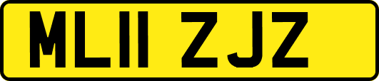 ML11ZJZ