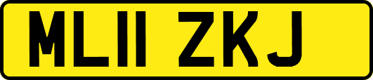 ML11ZKJ