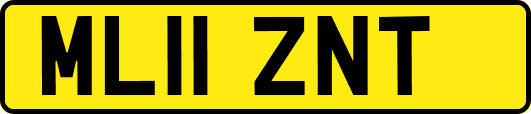 ML11ZNT