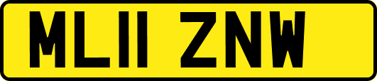 ML11ZNW