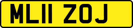 ML11ZOJ