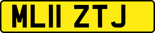 ML11ZTJ