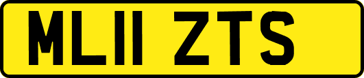 ML11ZTS