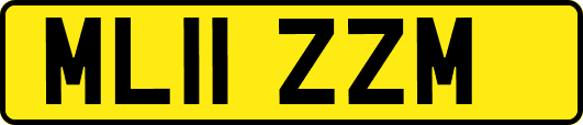 ML11ZZM