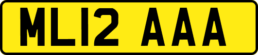 ML12AAA