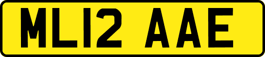 ML12AAE