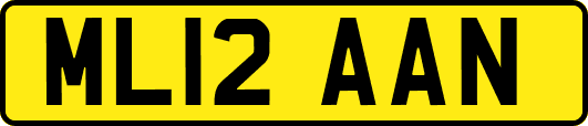 ML12AAN
