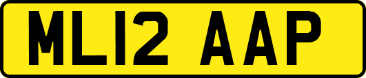 ML12AAP
