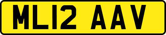 ML12AAV