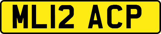 ML12ACP
