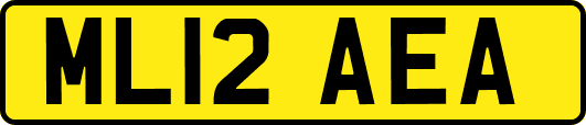ML12AEA