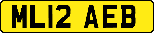 ML12AEB
