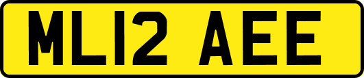 ML12AEE