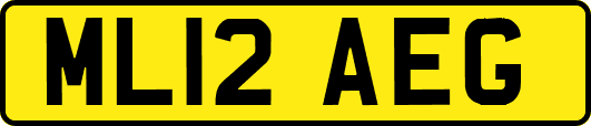 ML12AEG