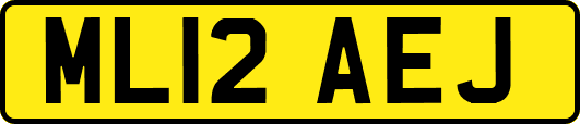ML12AEJ