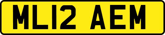 ML12AEM