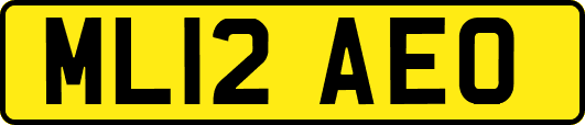 ML12AEO