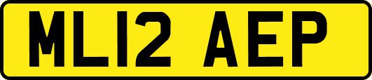 ML12AEP