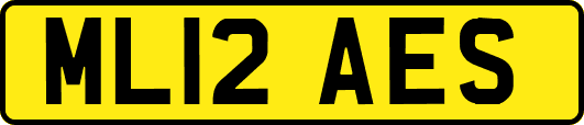 ML12AES