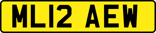ML12AEW