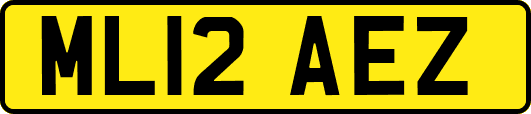 ML12AEZ