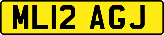 ML12AGJ