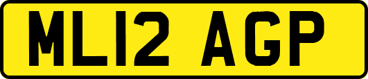 ML12AGP